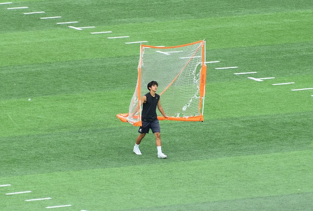 给出了对独