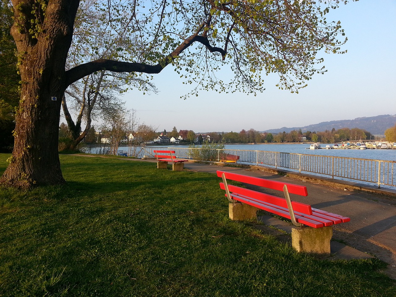 的春运之旅 的春运之旅