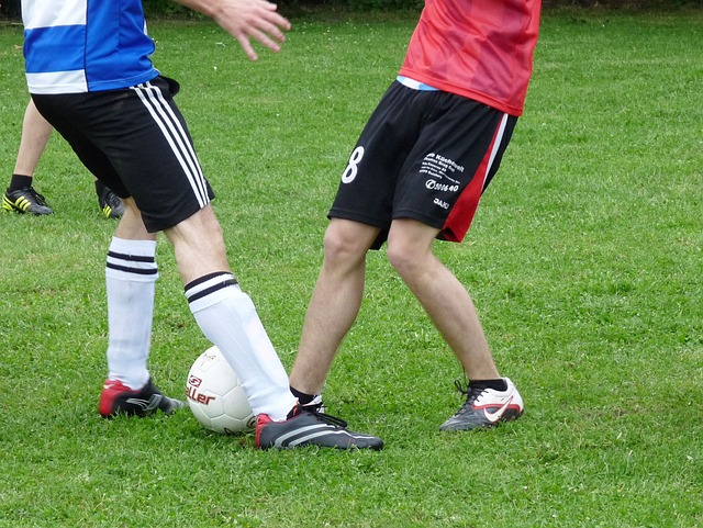 库尔图瓦 库尔图瓦