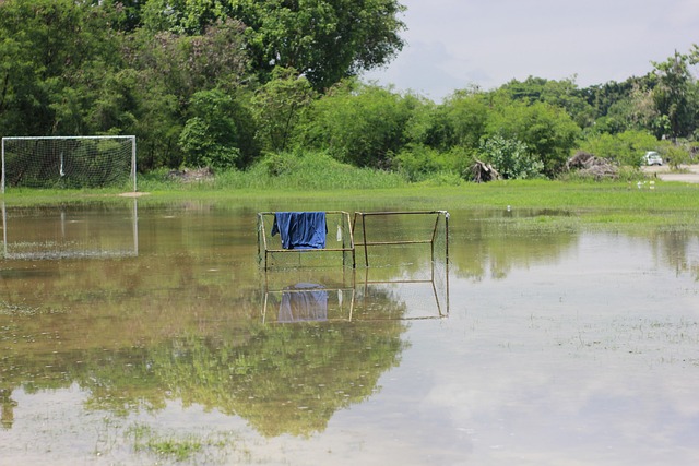 再到国际秩 再到国际秩
