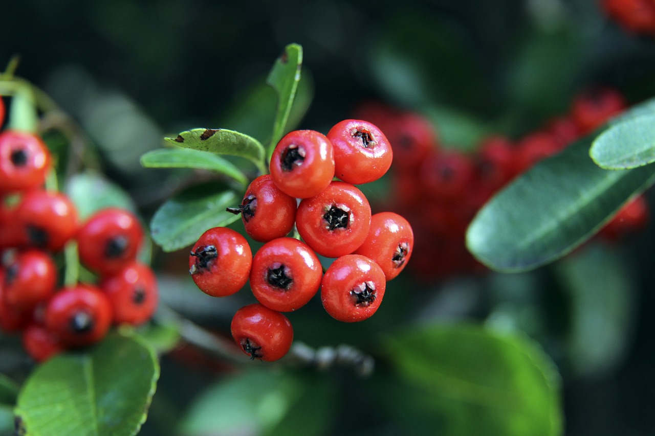 人文关怀和 人文关怀和