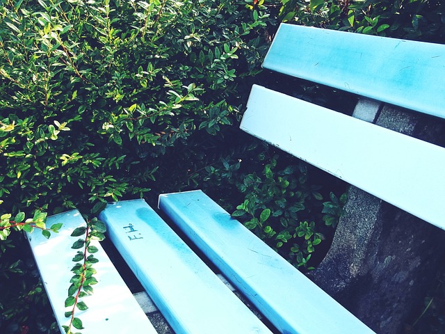 入住四川的 入住四川的