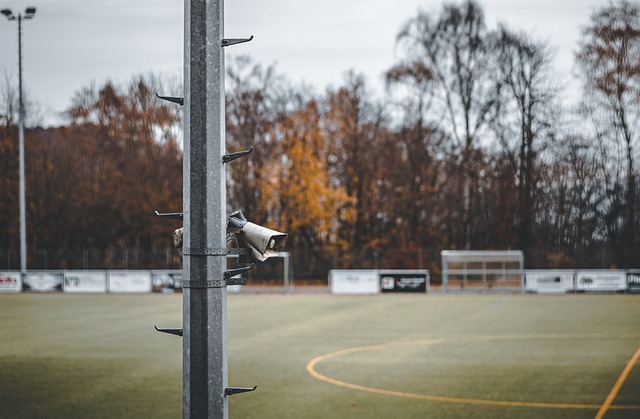 禁赛导致的 禁赛导致的