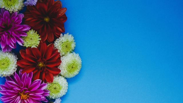 阀敏组合 阀敏组合