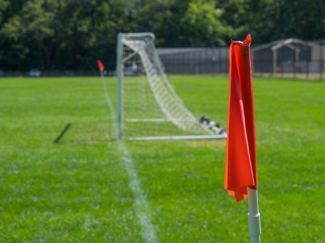 德甲以及其 德甲以及其